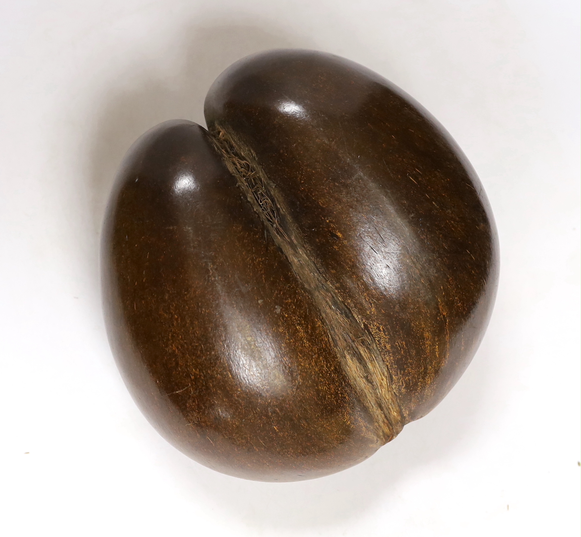 A Seychelles coco-de-mer basket, 26cm diam.